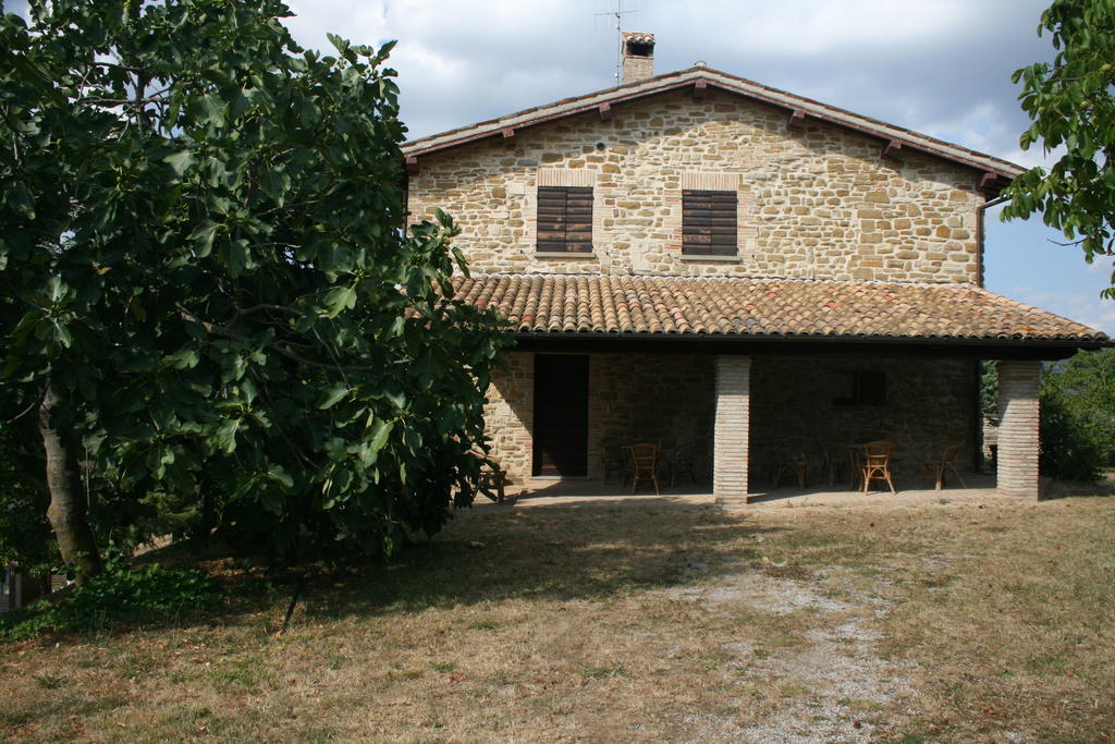 Farm stay Agriturismo Colle Del Sole
